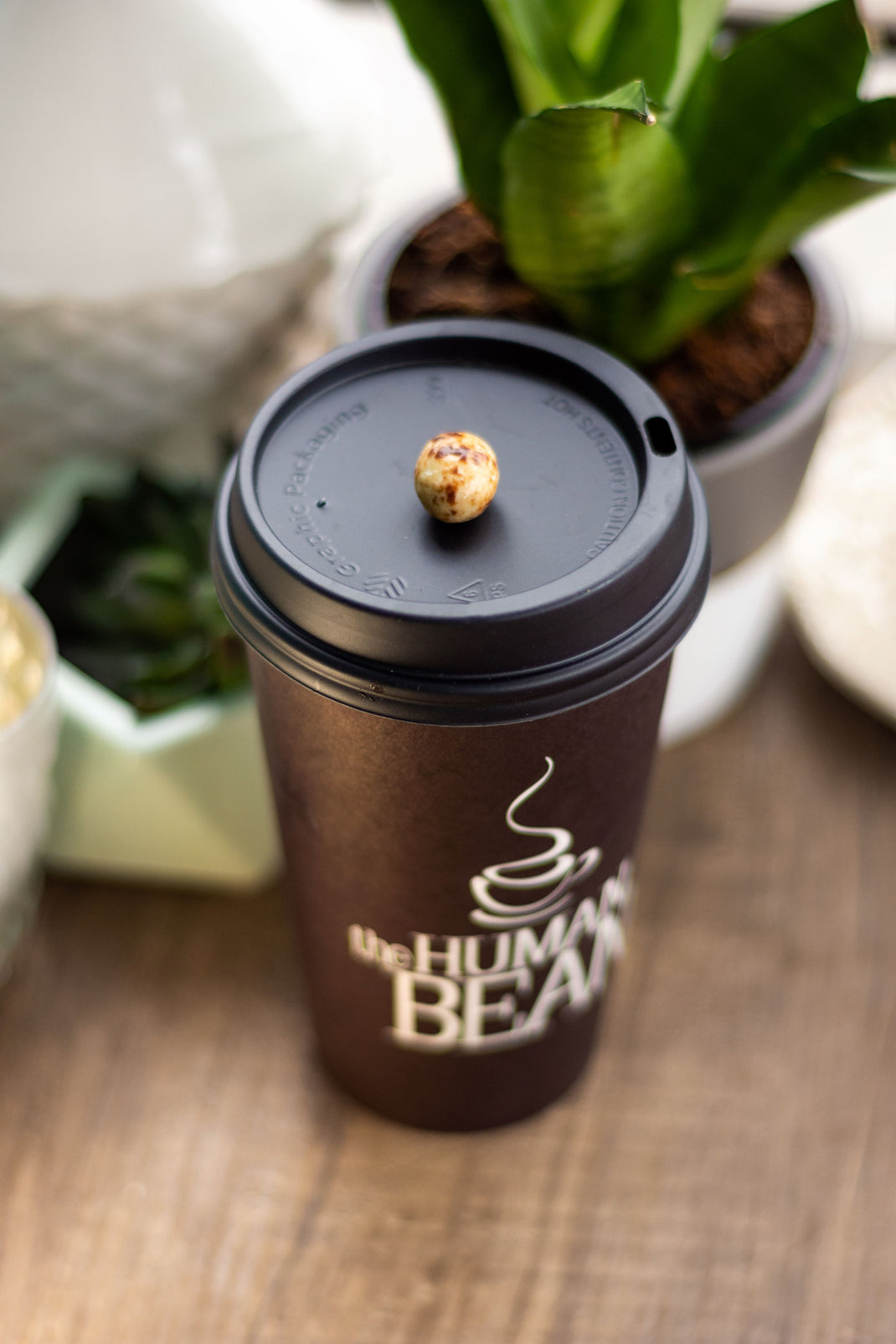 Process – The Human Bean — Franchise