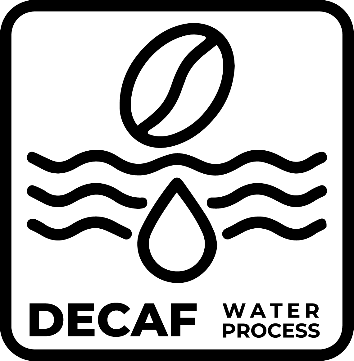 The Human Bean Decaf Water Process
